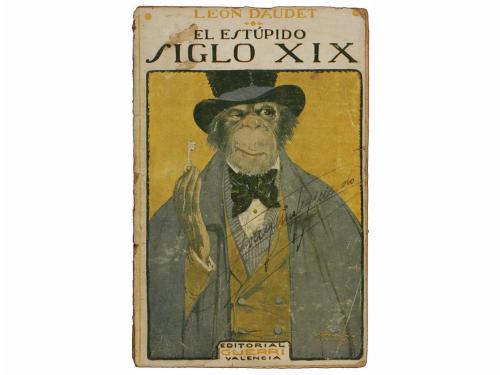 Lote 41