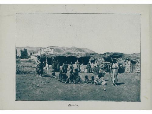 Lote 3167