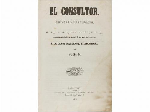 Lote 44