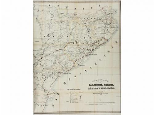 Lote 443