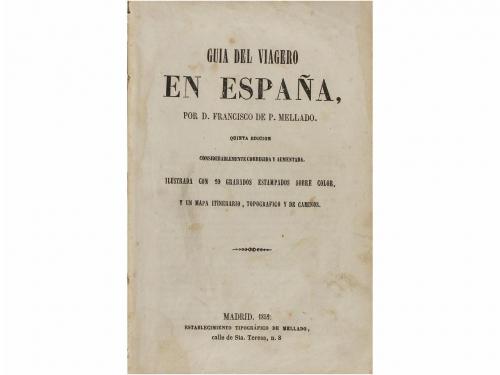 Lote 40