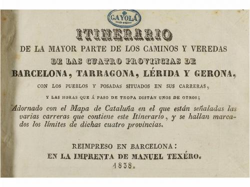 Lote 29