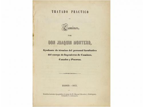 Lote 221