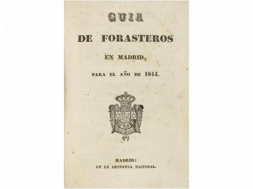 Lote 84