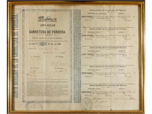 Lote 291