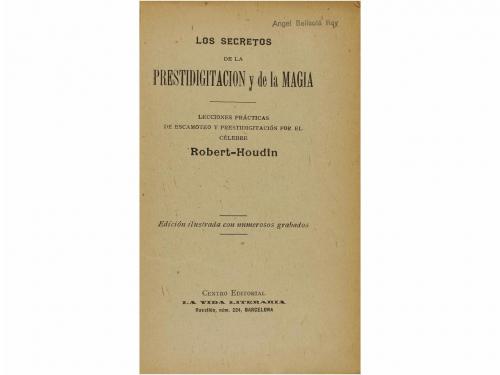 Lote 369
