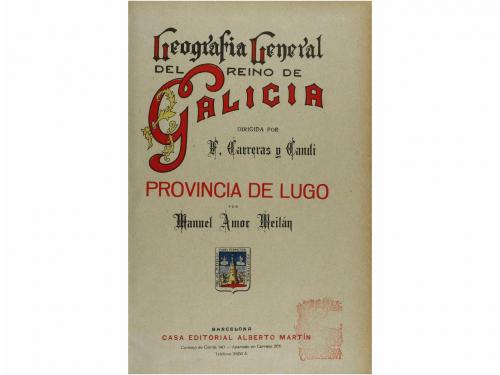 Lote 323