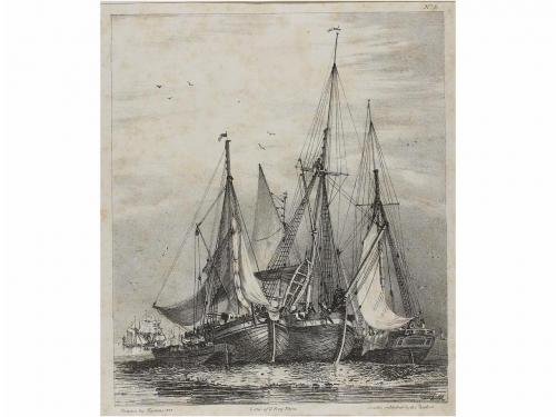 Lot 905