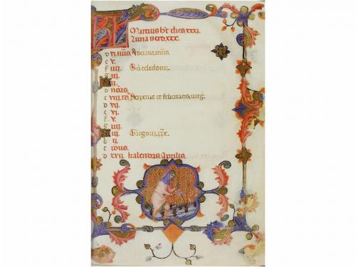 Lot 806