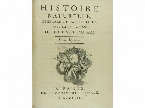 Lot 1252