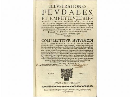 Lot 831