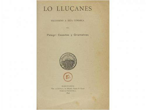 Lote 560