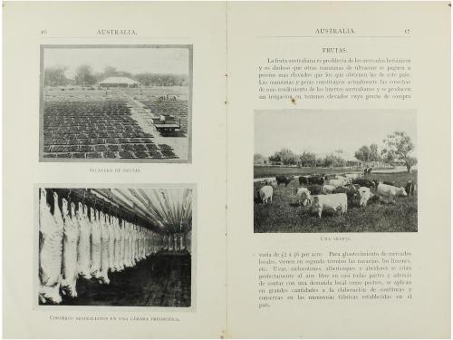 1920 ca. FOLLETO. (AUSTRALIA). AUSTRALIA. TIERRA DE SOL Y DE