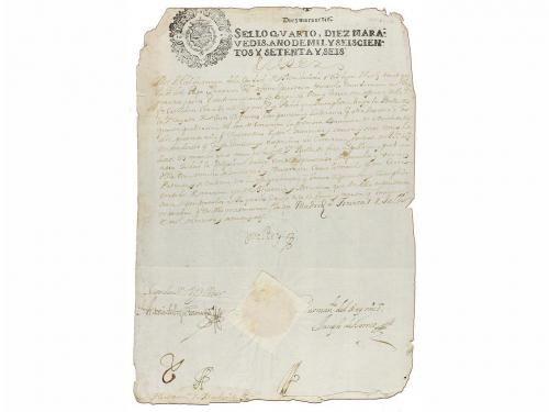 Lote 246