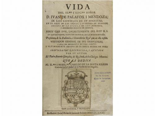 Lote 163