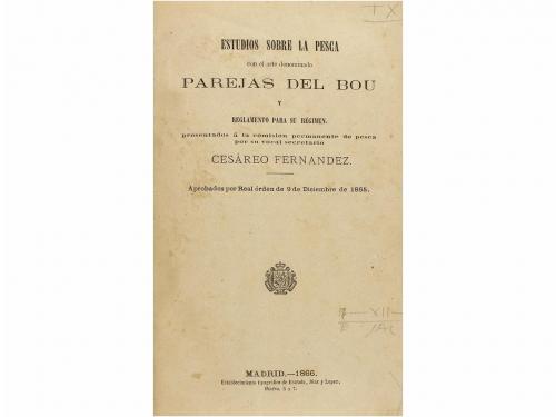 Lote 379
