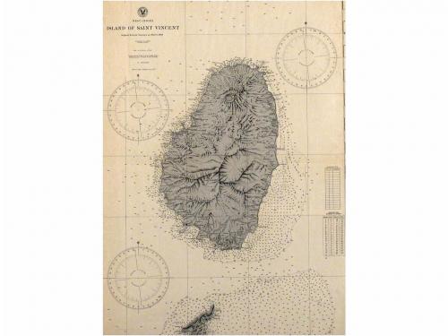 Lote 294