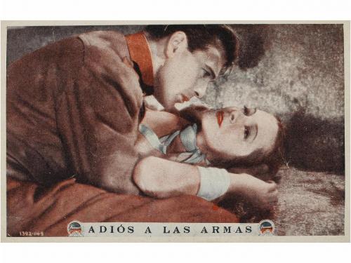 Lote 16