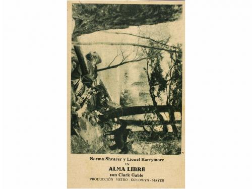 Lote 29