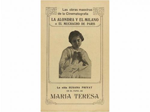 Lote 13