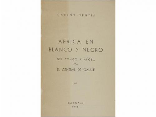 Lote 599
