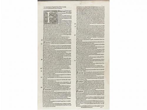 Lot 261