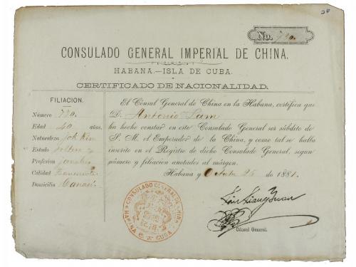 Lot 190