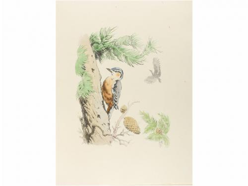 1945. LIBRO. (BIBLIOFILIA). VERDAGUER, JACINT:. QUÈ DIUEN EL