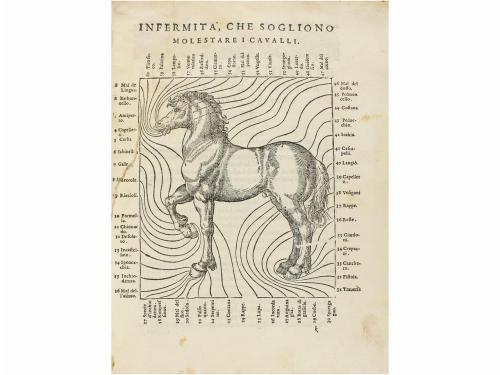1590. LIBRO. (HIPICA). GRISONE, F.:. ORDINI DI CAVALCARE, ET