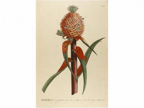 1750. LIBRO. (BOTANICA-GRABADOS COLOREADOS). EHRET, GEORGIUS