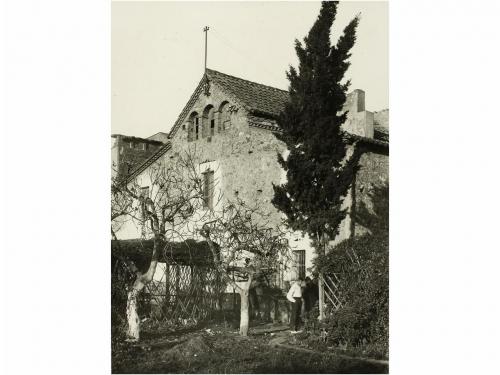 Lote 554
