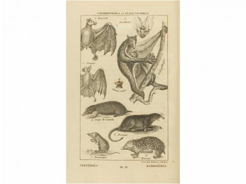 1843. LIBRO. (CIENCIAS). SALACROUX. ELEMENTOS DE HISTORIA NA