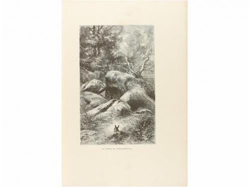 1876. LIBRO. (LITERATURA). MICHELET, J. :. L' INSECTE. París