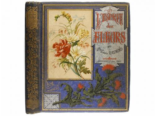 1884. LIBRO. (LITERATURA). RAYMOND, EMMELINE:. L'ESPRIT DES 