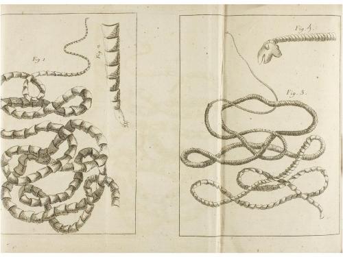 1752. LIBRO. (MEDICINA). RAULIN, JOSEPH:. DES MALADIES OCCAS