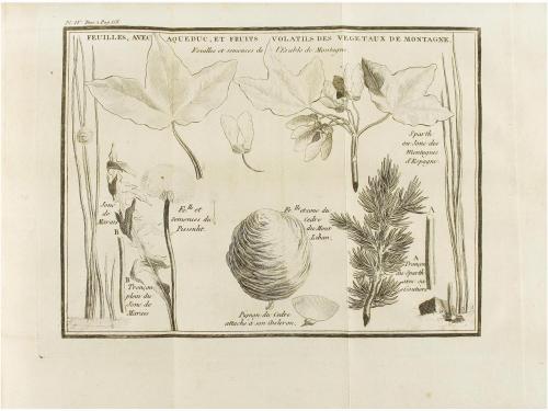 1797. LIBRO. (NATURALEZA). BERNARDIN DE SAINT-PIERRE, JAQUES