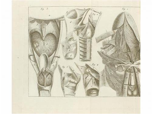 1816. LIBRO. (LINGÜÍSTICA). GÉBELIN, COURT DE:. HISTOIRE NAT