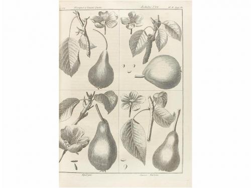 1781-1805. LIBRO. (AGRICULTURA). ROZIER:. COURS COMPLET D'AG