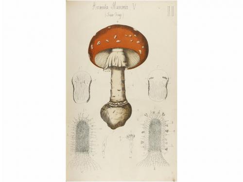 1883. LIBRO. (MICOLOGÍA). SICARD, G.:. CHAMPIGNONS COMESTIBL