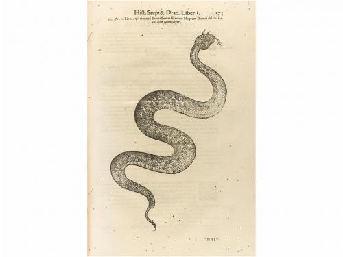 1639-1645. LIBRO. (HISTORIA NATURAL). ALDROVANDI, ULISSIS:.