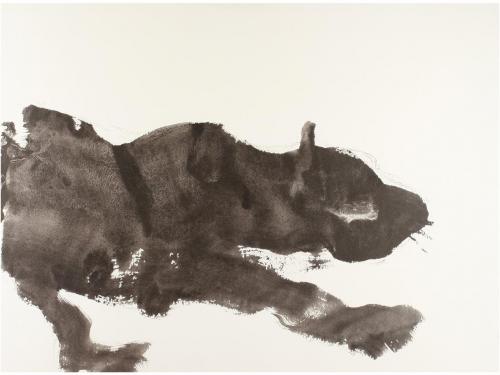 2012. LIBRO. (BIBLIOFILIA). BARCELO, MIQUEL:. CHAUVET. CAHIE