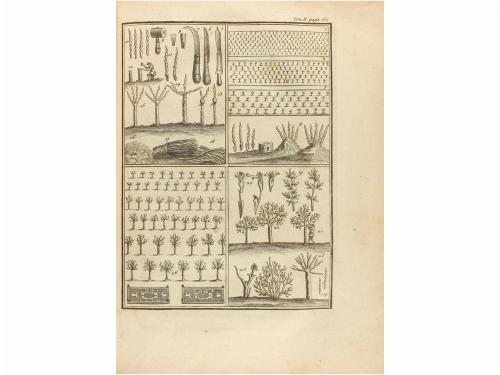 1762. LIBRO. (AGRICULTURA). [LIGER, LOUIS]:. LA NOUVELLE MAI