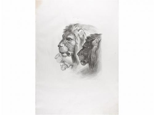 1816. LIBRO. (ARTE). HUET, JEAN BAPTISTE:. OEUVRES DE ... Pa