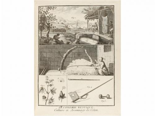 1775. LIBRO. (HUMANIDADES). FELICE, M. DE:. ENCYCLOPÉDIE OU 