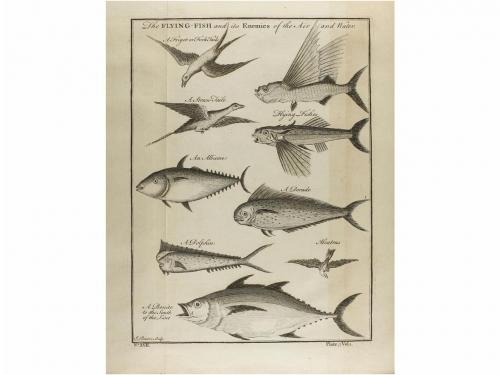 1745. LIBRO. (VIAJES). NEW GENERAL COLLECTION OF VOYAGES AN