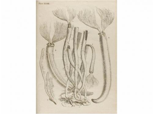 1756. LIBRO. (CIENCIAS). ELLIS, JEAN:. ESSAI SUR L'HISTOIRE 