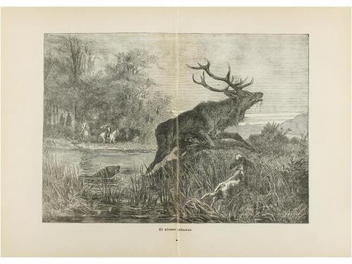 1911. LIBRO. (CAZA). COVARSI, ANTONIO:. TROZOS VENATORIOS Y