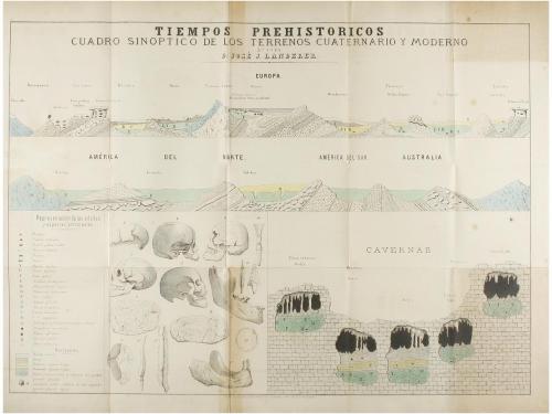 1893. LIBRO. (CIENCIAS-GEOLOGÍA). VILANOVA Y PIERA, JUAN:. M