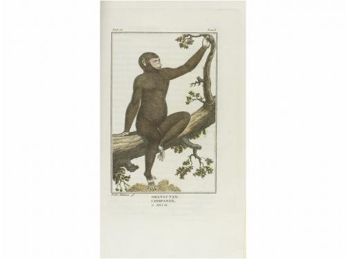 1835. LIBRO. (CIENCIAS NATURALES). VIREY, J. J.:. HISTORIA N