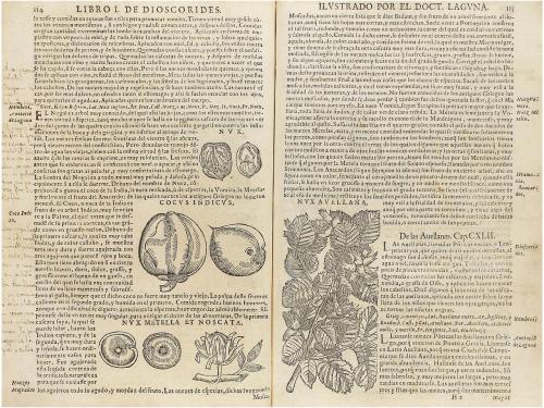 1651. LIBRO. (MEDICINA-BOTÁNICA). DIOSCORIDES ANAZARBEO, PED